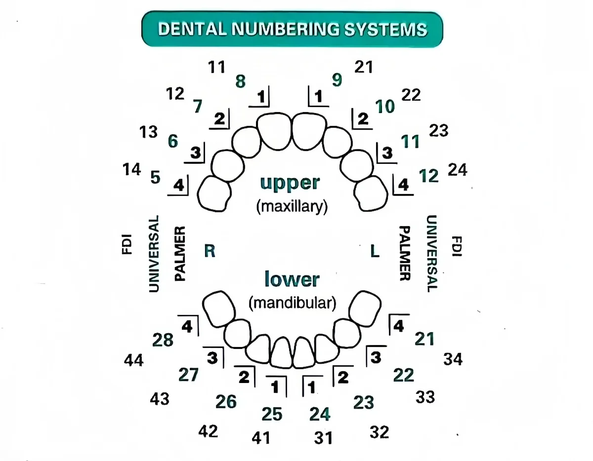 32-teiliges Dental-Veneer-Form – Teeth Whitening Moulds Bewertung und Preis